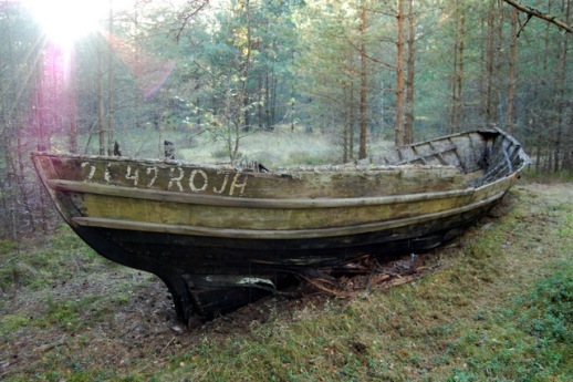 Laiva mežā